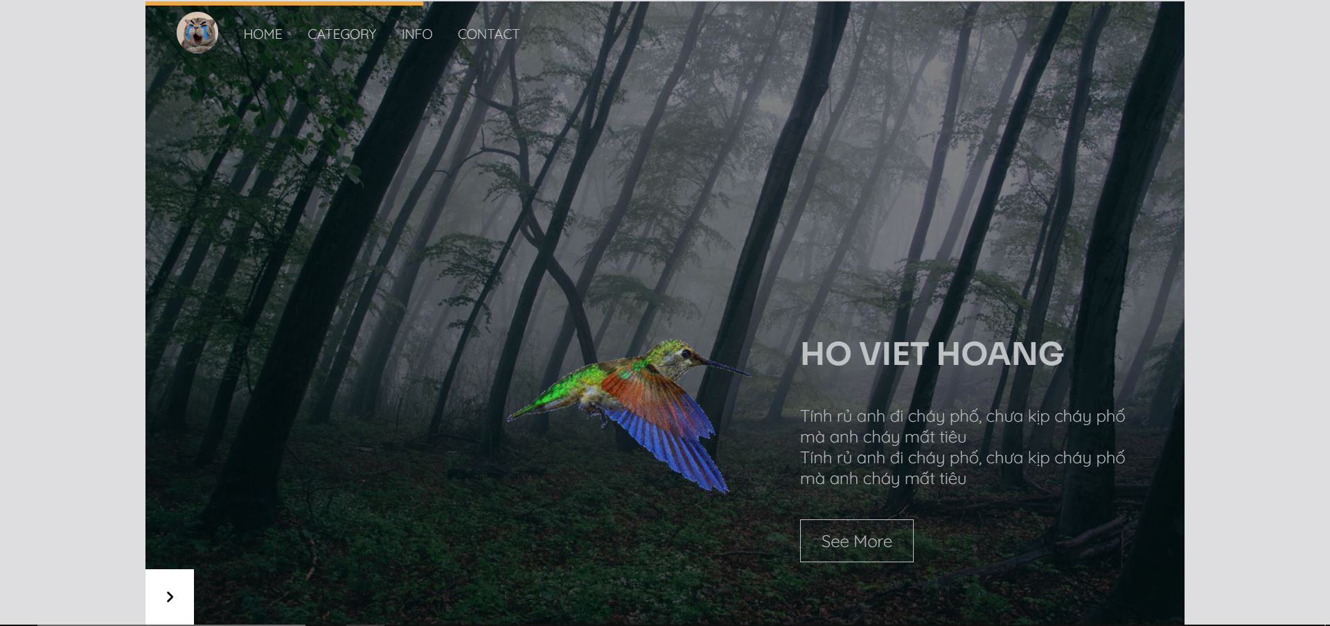 Interactive image carousel HTML CSS JavaScript